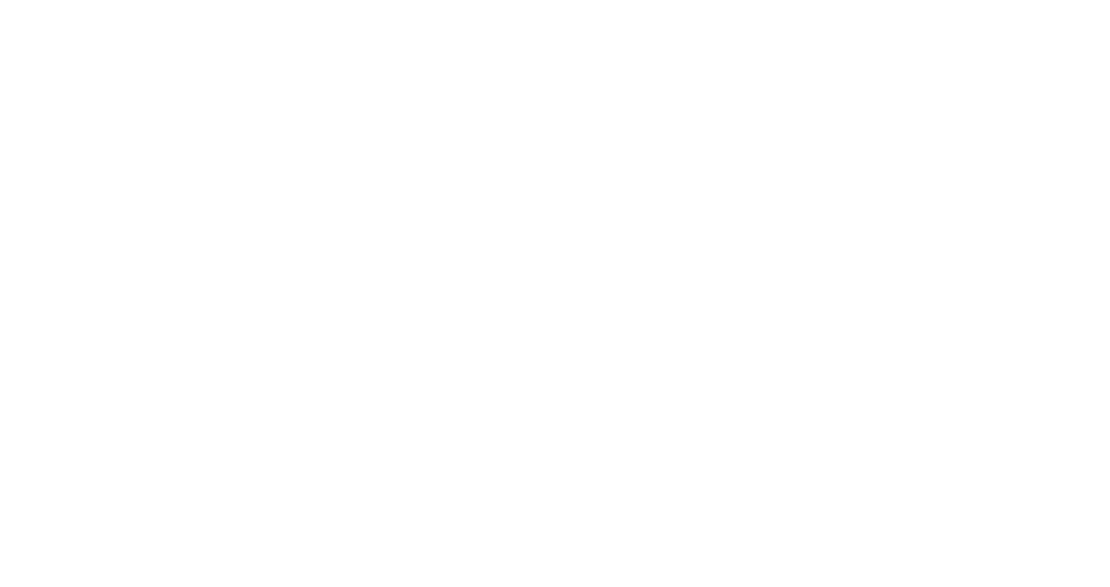 ana elegant
